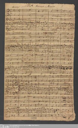 Ms. Ff. Mus. 1302 - Fest. annunc. Mariae