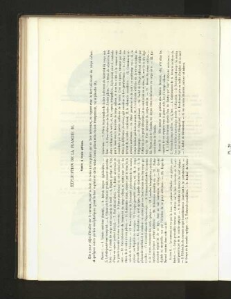 Pl. 20.