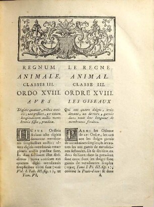 Ornithologie Ou Méthode Contenant La Division Des Oiseaux En Ordres, Sections, Genres, Especes & leurs Variétés : A Laquelle On A Joint Une Description exacte de chaque Espece, avec les Citations des Auteurs qui en ont traité ..., 6