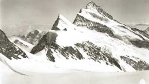 Berner Alpen. Finsteraarhorn (4274 m) vom Walliser Fiescherfirn