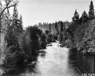 Der Big Butte Creek : Der Big Butte Creek, ein etwa 12-Meilen (19 km) langer Nebenlauf des Rogue River im US - Bundesstaat Oregon.