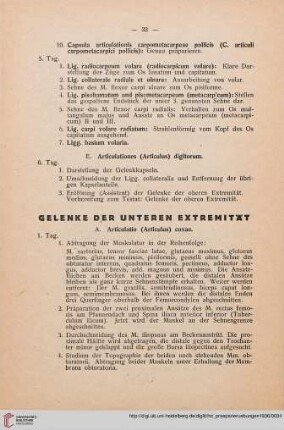 Gelenke der unteren Extremität