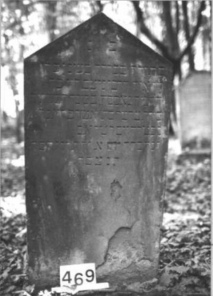 Grabstein 469 (Index: 99900965) Material: Sandstein Zustand: unten großflächige Abblätterungen, sonst stellenweise angewittert Maße HxBxT: 116x57x7 cm Beschreibung: Stele mit Dreiecksabschluss: Grabstein 469