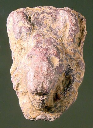 Löwenkopf als Attasche, etwas zerdrückt (tatsächlich ein Hundekopf)