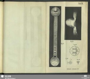 [Fig. 35 + 36, 59 - 61]