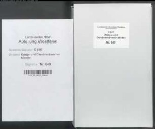 Amt Petershagen - Vogtei Börde - Bauerschaft Friedewalde: Revidiertes Kataster