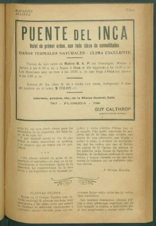 Plantas pulpos