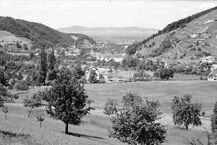 Oberglottertal: Blick ins Glottertal; Hintergrund Kaiserstuhl