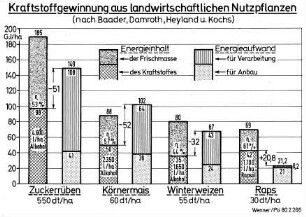 Kraftstoffgewinnung aus landwirtschaftlichen Nutzpflanzen