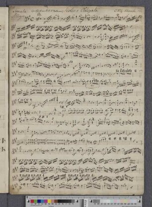 Violino Obligato