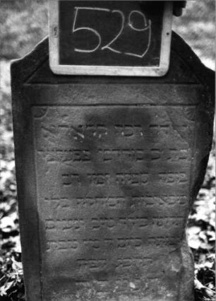 Grabstein 529 (Index: 99802722) Material: Sandstein Zustand: seitl. bgebroch/leicht verwittert Maße HxBxT: 87x45x7 cm Beschreibung: Stele mit Karniesbogen und profiliertem Rand: Grabstein 529 (Detailaufnahme)