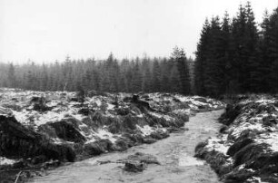 Tharandt-Grillenburg. Blick von der Brücke am E-Flügel auf die Triebisch nach Norden