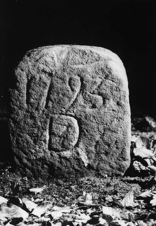 7 Grenzsteine; Bad Sooden-Allendorf, Roggenberg