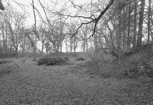 Wallanlagen Burg Sensenstein; Nieste, Sensenstein