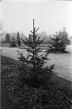 Wintertag im Botanischen Garten.