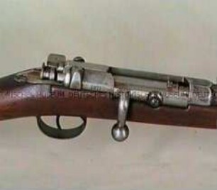 Karabiner M/71, System Mauser, Deutsches Reich