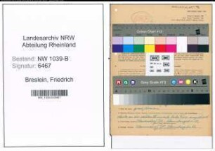 Entnazifizierung Friedrich Breslein , geb. 19.04.1897 (Angestellter)
