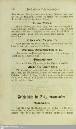 Feldfrüchte in Salz einzumachen