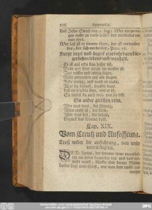 Cap. XIX. Vom Creutz und Anfechtung.