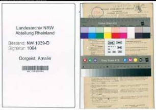 Entnazifizierung Amalie Dorgeist , geb. 02.07.1910 (Assessorin)