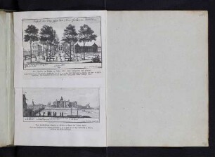 Abbildungen nach Stridbecks Skizzen (Lindenallee und Schloss mit Schlosskirche)