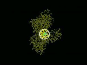 Glyceraldehyde-3-phosphate dehydrogenase, GAP DH 1