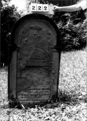 Grabstein 222