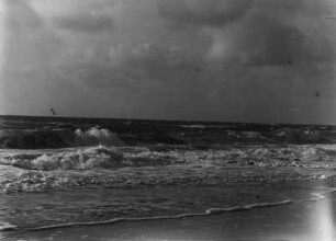 Wellen am Strand : Wellen der Nordsee branden am Strand von Sylt.