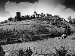 Neuleiningen (Pfalz). Ortsansicht