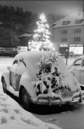 Freiburg: VW mit Tannenbaum auf Gepäckträger