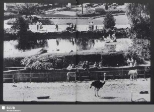 Hagenbeck