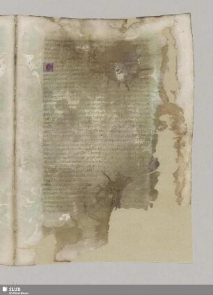 Acierum instruendarum uaria ratio. Cap. XI.