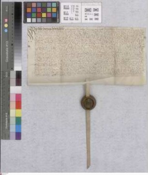 Neckarsteinach: Neckarsteinacher Gültbrief