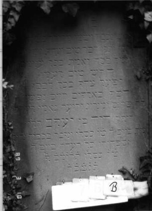 Grabstein 76 (Index: 100093929) Maße HxBxT: 200x84x30 cm Symbolik: (Leviten-)Kanne Besonderheit: kulturhistorisch wertvoll / hist.-wiss. Gründe (Gemeindestellung): Grabstein 76B