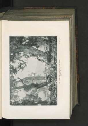 An Australian Landscape: "Gum Trees"