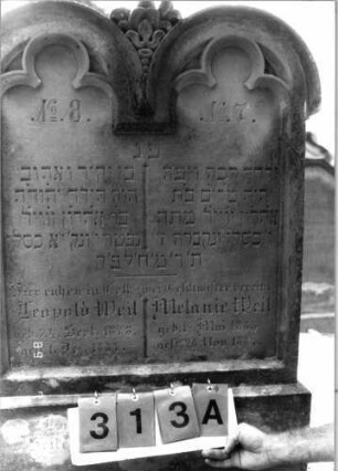 Grabstein 313 (Index: 99797874) Material: Sandstein, weiß Zustand: leicht verwittert Maße HxBxT: 120x70x17 cm Beschreibung: Doppelstele Symbolik: Palmblatt, Dreipaß: Grabstein 313A