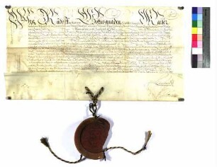 Kaiser Rudolf II. verleiht dem Grafen Rudolf zu Helfenstein, Freiherrn zu Gundelfingen, den Bann über das Blut zu richten in der Herrschaft und beim Schloß Hiltenburg, im Städtlein Wiesensteig und im Markt Deggingen.