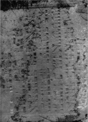 Grabstein 464 (Index: 99791797) Material: roter Sandstein Zustand: umgestürzt, Sockel fehlt, Fragment Maße HxBxT: 90x77x10 cm: Grabstein 464 (Detailaufnahme 2)