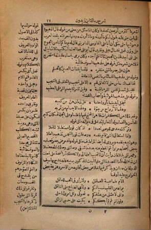 Sarḥ al-'uyūn : Šarḥ Risālat Ibn Zaidūn