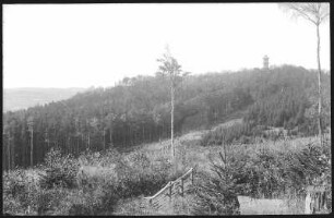 Löbau. Löbauer Berg