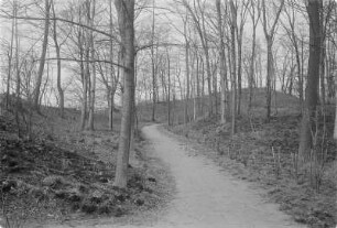 Alte Schanze bei Gröditz. : Hrodźišćo pola Hrodźišća