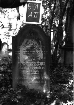 Grabstein A II/ 5/31: Grabstein A II/5/31