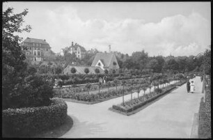 Chemnitz. Rosarium im Stadtpark