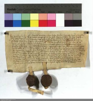 Henne von Herborn Bürger von Wetzlar läßt dem Conrad von Mengirskirchen, Kanoniker des Stiftes zu Wetzlar, alle die Güter auf, welche er von Heide...
