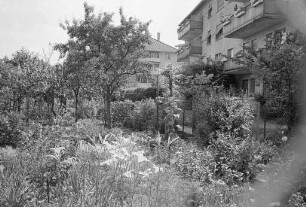 Kleingartenanlage an der Hagsfelder Allee