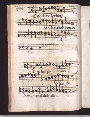 Wenceslaus Schamotulinus : Ego sum pastor bonus