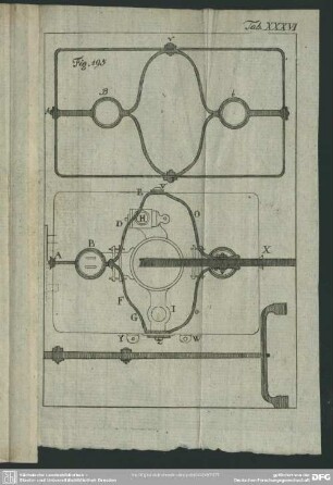 Tab. XXXVI