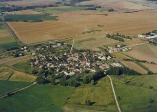 Ortsansicht mit Feldfluren (Haufendorf)
