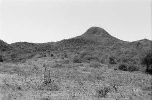 Bergkuppe : Ansicht einer Bergkuppe in den jungvulkanischen Beverley-Bergen südlich des Chamosees
