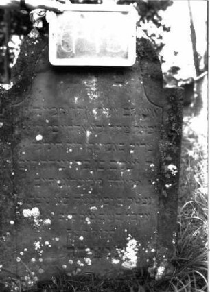 Grabstein 743 (Index: 100104763) Material: Sandstein Zustand: durch Flechten bewachsen, angewittert Maße HxBxT: 98x62x9 cm Beschreibung: Stele, eingezogener Rundbogenabschluss, Schriftfeld mit Konvexbogenabschluss, durch Rille abgeteilt: Grabstein 743 (Detailaufnahme)